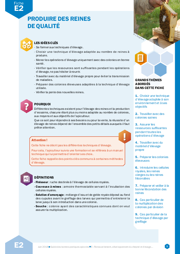 Produire des reines de qualité