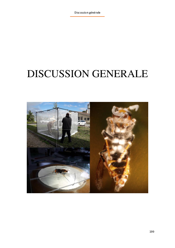 Discussion générale