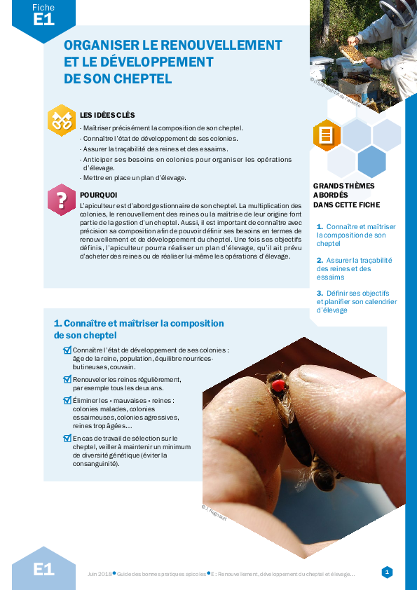 Organiser le renouvellement et le développement de son cheptel